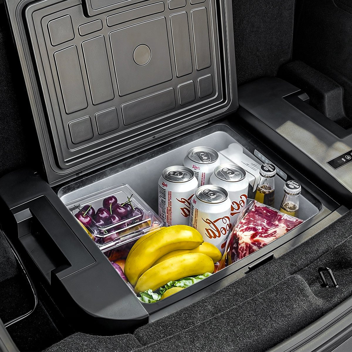 Tesla Refrigerator - T-Launch