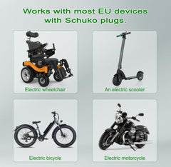 Τύπος 2 στο καλώδιο υποδοχής Schuko