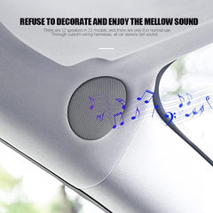 Model 3 Cavo per altoparlanti audio auto originale dedicato per Tesla (2020-2023)