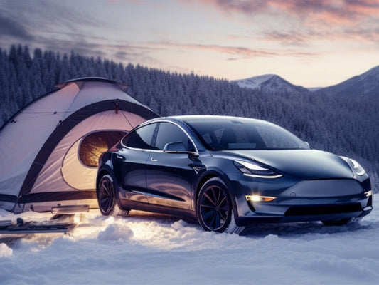 Essential Tips for Tesla Winter Road Trip