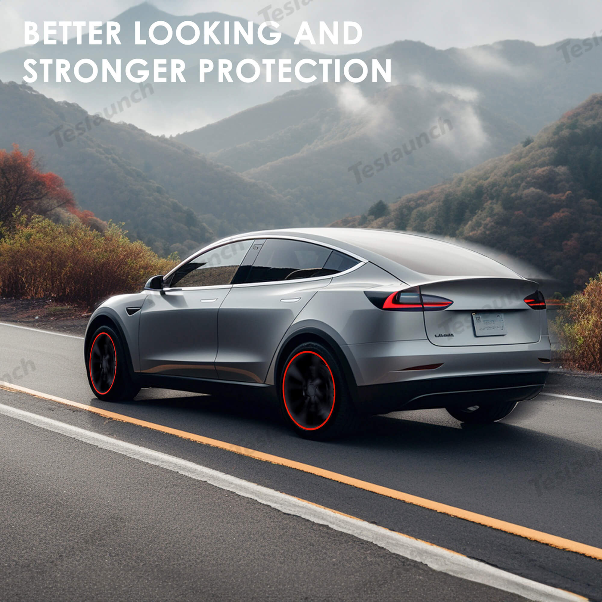 Rim Protector | Alloy Rim Protectors | Rim Protectors for Cars – TESLAUNCH