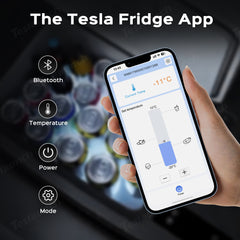 Frigider cu portbagaj 22L Congelator cu portbagaj portabil Pentru Tesla Model 3 (versiunea SUA)