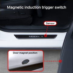 Protector prag iluminat pt Tesla