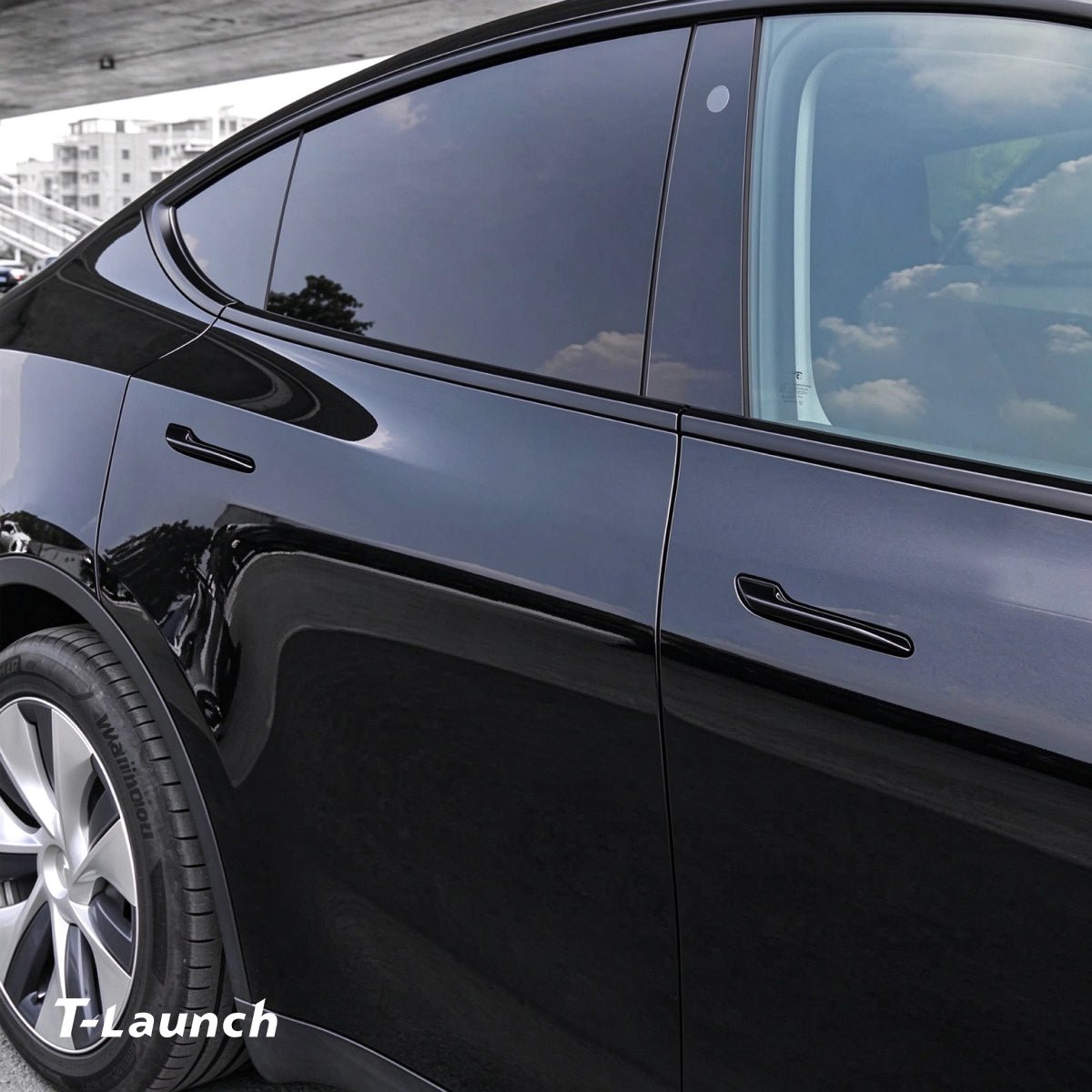 Anti-Freezing Door Handle Cover for Tesla Model 3 2017+ / Model Y 2020+ - T-Launch
