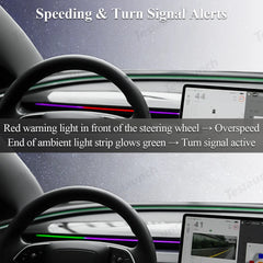 Blind Spot Detection (BSD) Smart Ambient Light for Tesla Model Y/3 (2017–2025+)